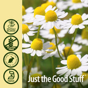 Nature’s Answer Chamomile Herbal Extract 2,400 mg — 30 ml