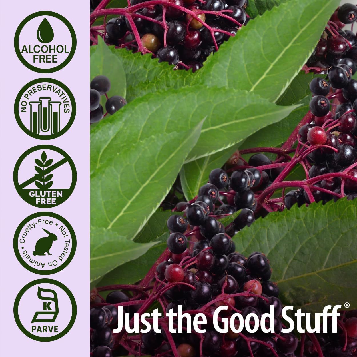 Close-up of elderberries with green leaves and 'Just the Good Stuff' branding on a light purple background.