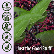 Close-up of elderberries with green leaves and 'Just the Good Stuff' branding on a light purple background.