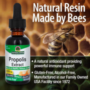 Nature's Answer Propolis Extract bottle with a bee on honeycomb background