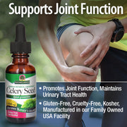 Bottle of Nature's Answer Celery Seed with a person holding their knee, promoting joint function.