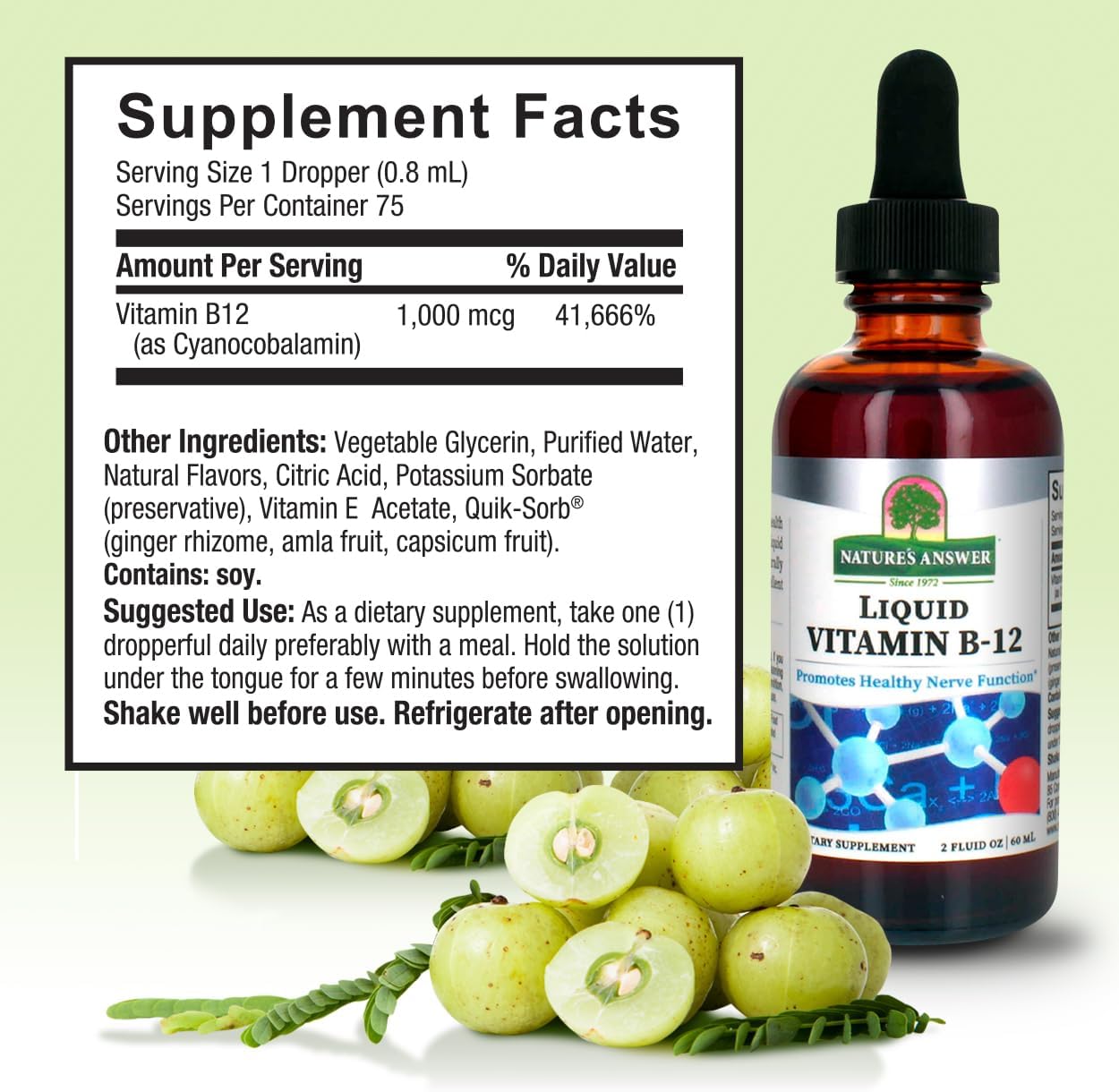 Liquid Vitamin B-12 supplement bottle with label and green apples on a light green background