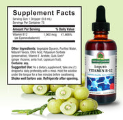 Liquid Vitamin B-12 supplement bottle with label and green apples on a light green background