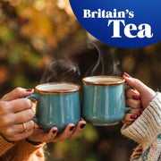 Tetley Original Black Tea Bags box packaging black tea 240 tea bags brewing instructions image