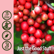Red berries with 'Just the Good Stuff' branding and certification icons on a pink background