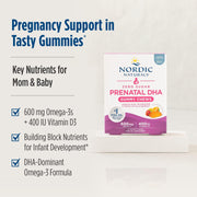 Nordic Naturals Zero Sugar Prenatal DHA Gummies box, 27 strawberry orange.