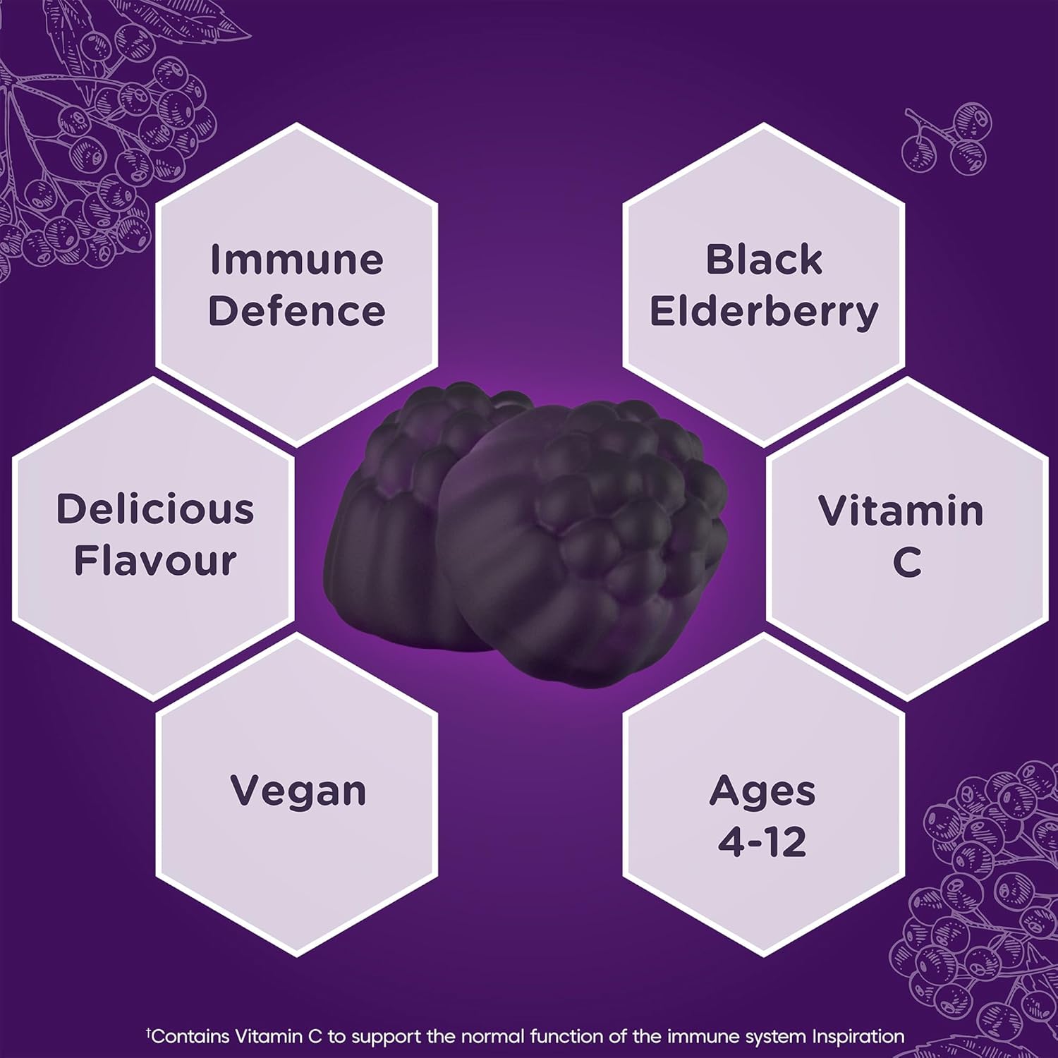 Black elderberry with health benefits listed on a purple background