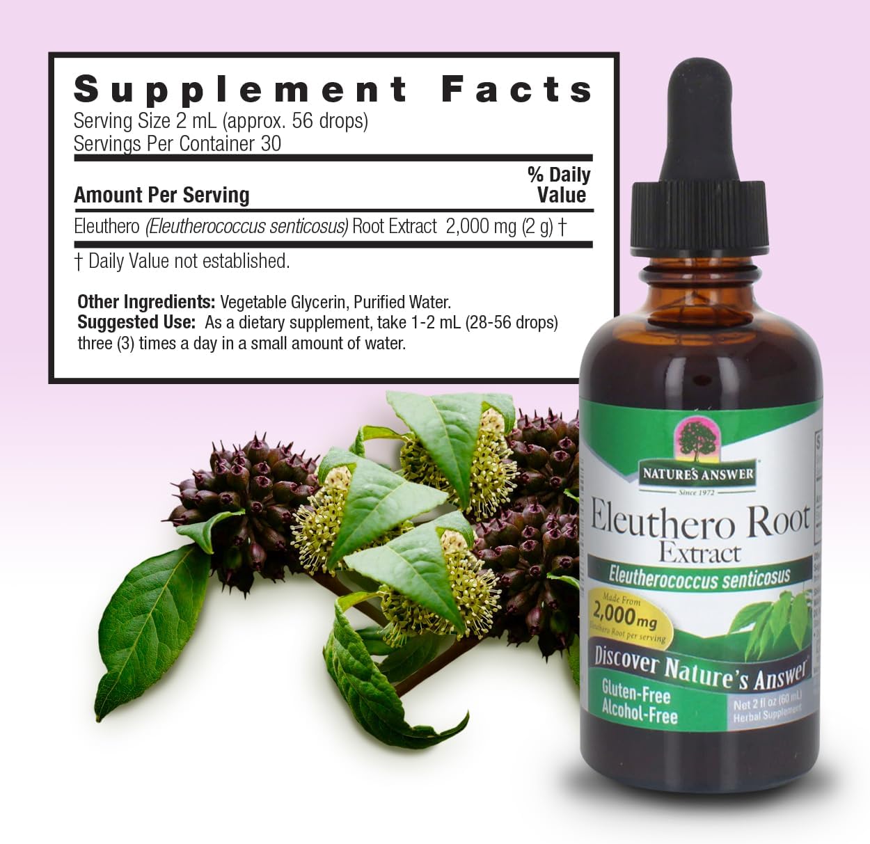 Bottle of Eleuthero Root Extract with supplement facts label on a light purple background