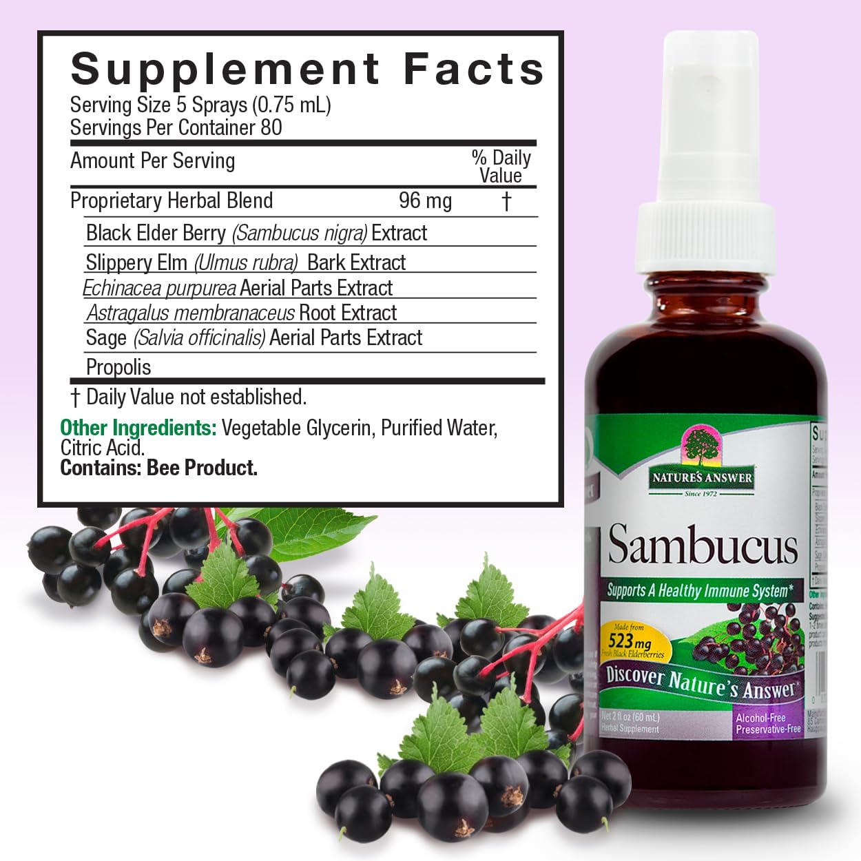 Sambucus supplement bottle with ingredient list and black elderberries on a light purple background