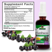 Sambucus supplement bottle with ingredient list and black elderberries on a light purple background