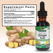 Nature’s Answer Ginger Root Extract – 1,000 mg, Alcohol-Free, 30 mL