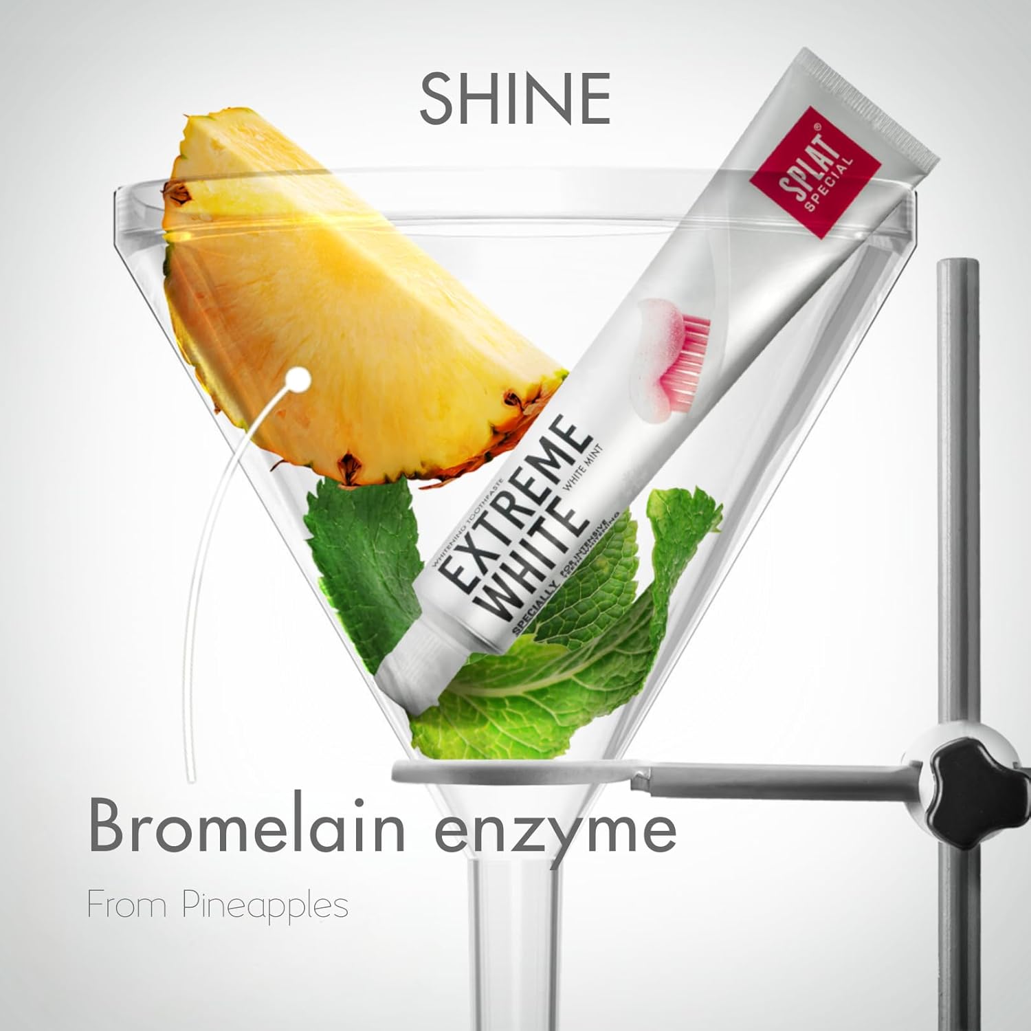 SPLAT Special Polishing Toothpaste - For Surface Stain Removal, Vegan 