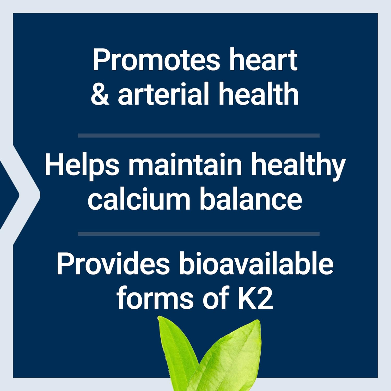 Life Extension Super K - Full Spectrum Vitamin K1 & K2 (MK-4, MK-7)