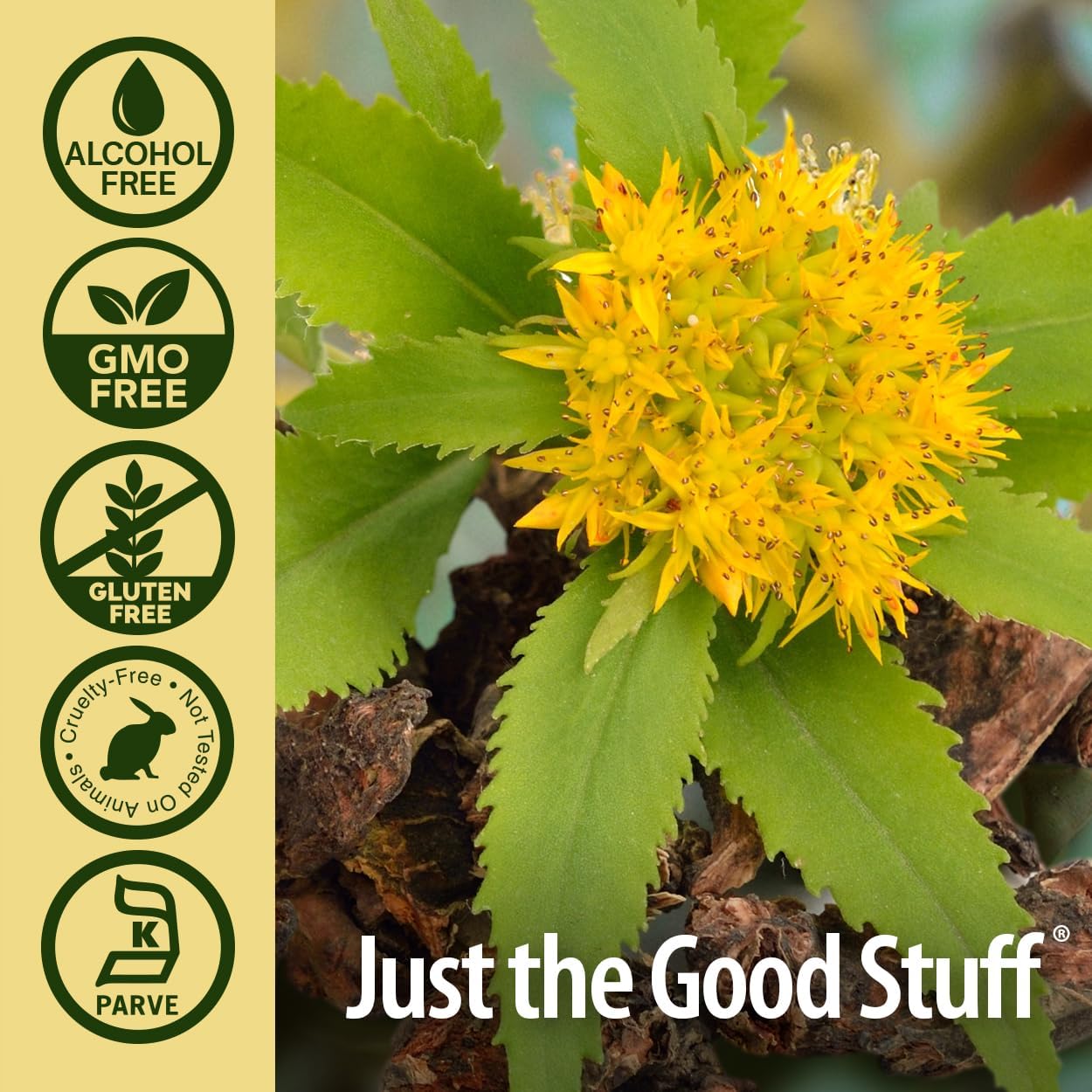 Yellow flower with green leaves and 'Just the Good Stuff' branding on a beige background.