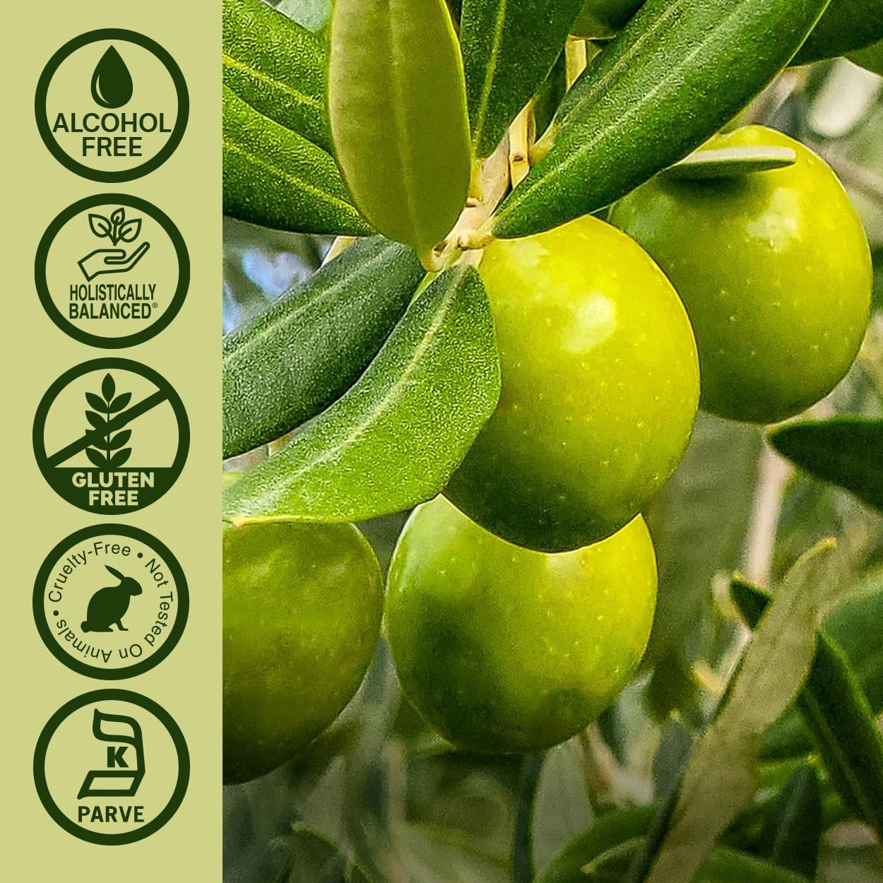 Green olives on a branch with certification icons on the left.