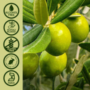 Green olives on a branch with certification icons on the left.