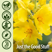 Nature's Answer Mullein Leaf Vegetarian Capsules - 90 Count