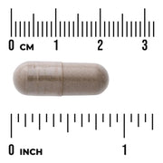 Swanson Chasteberry Supplement 400mg 120 Vegan Capsules Pack of 2 herbal supplement capsule bottle 60 capsule size