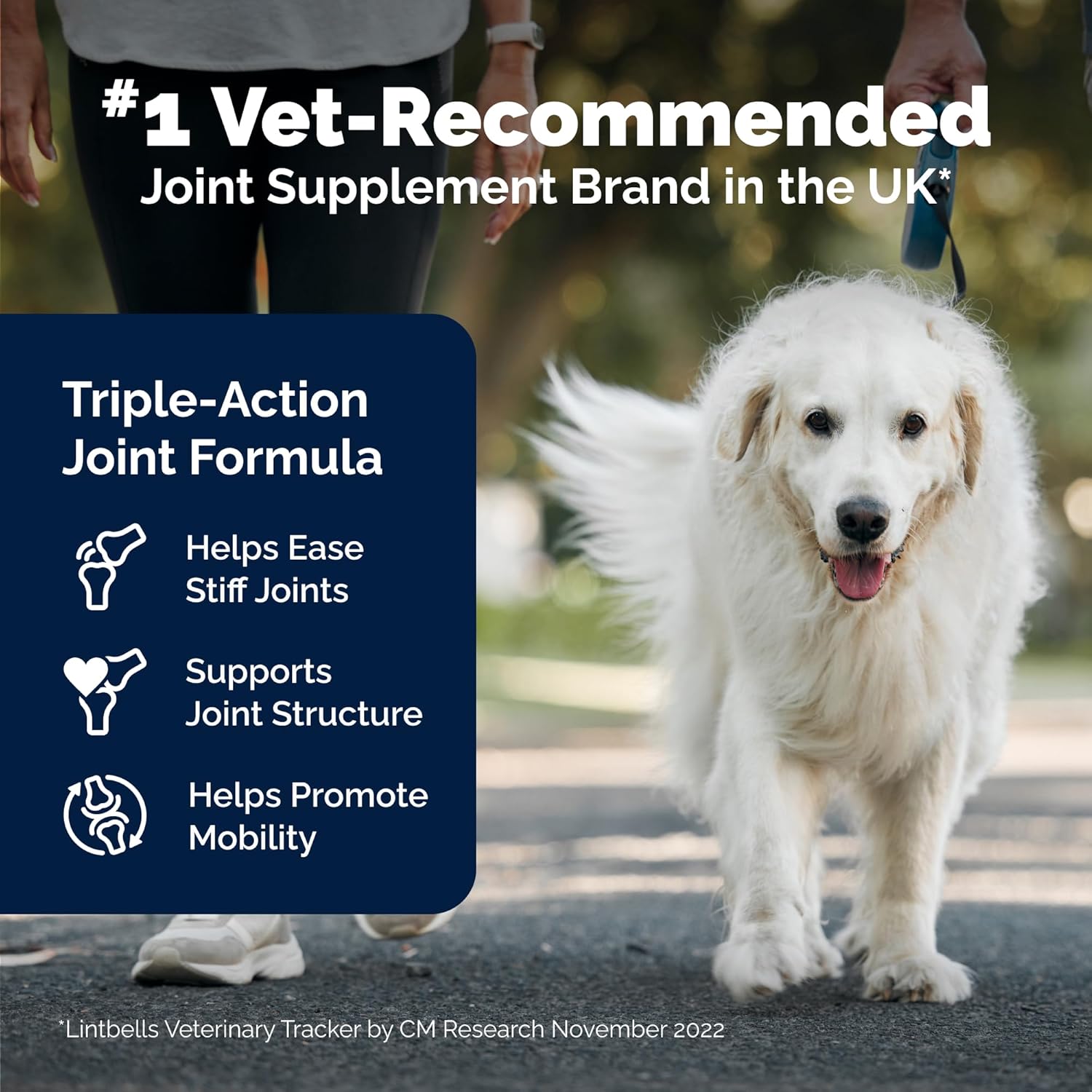YuMOVE Joint Support Supplement for Senior Dogs - 240 Tablets