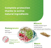 Himalaya Complete Care toothpaste ingredients label mint flavour 75ml