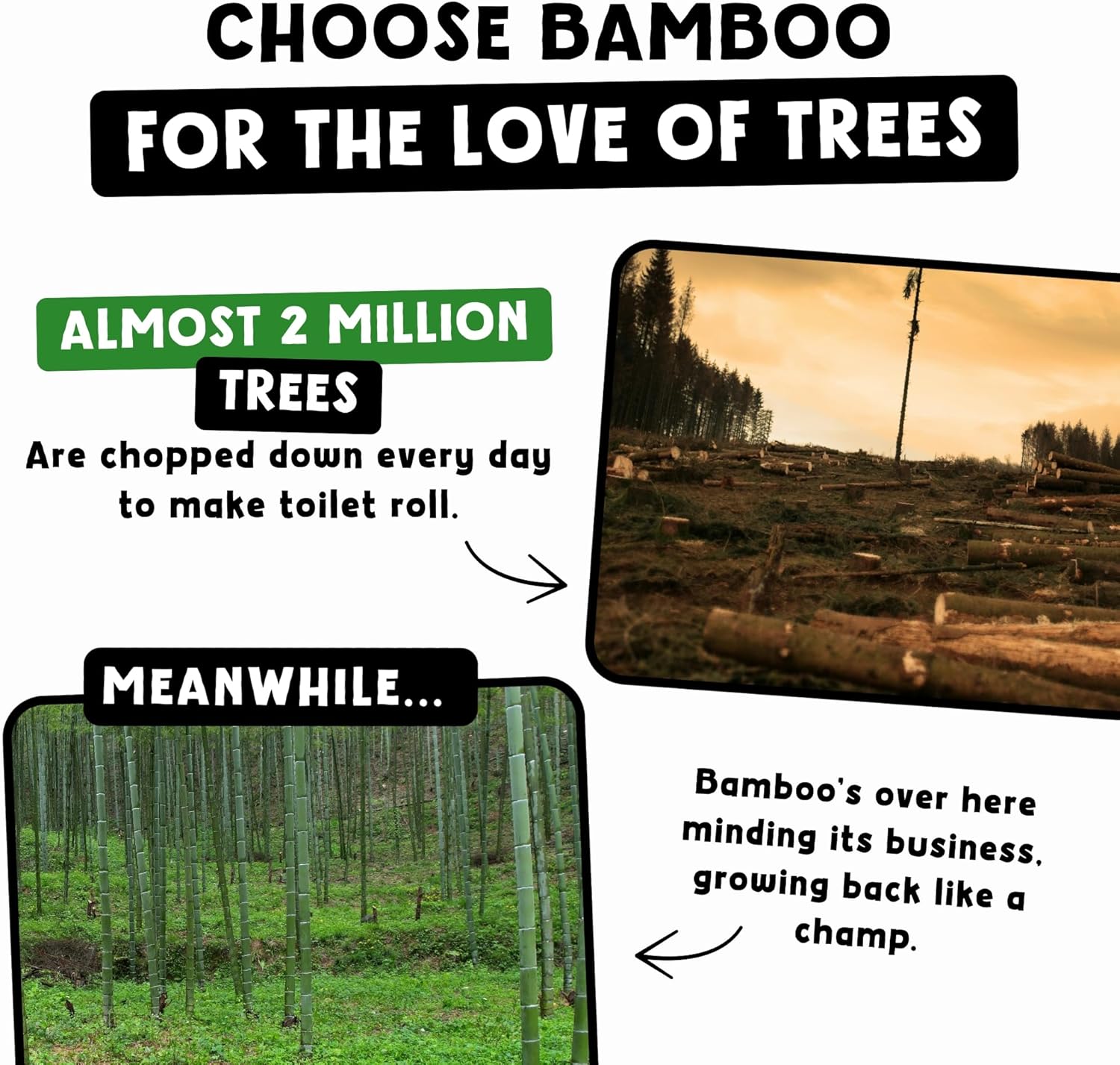 Sealed pack showcasing the 