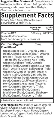 Ingredients, supplements and dosage for organic B12 liquid spray.