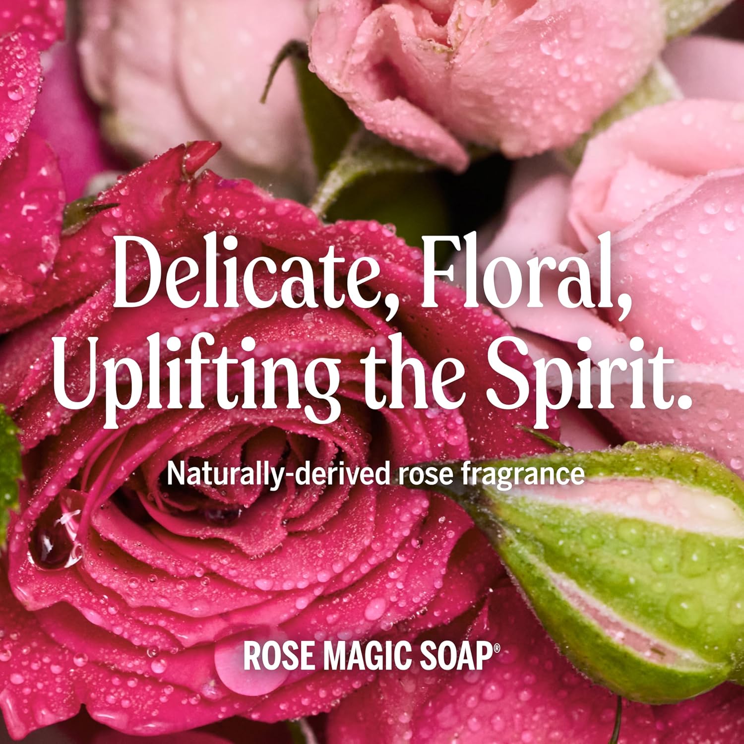 Dr. Bronner's Rose Pure-Castile Liquid Soap bottle, rose scent, 240ml, ingredients