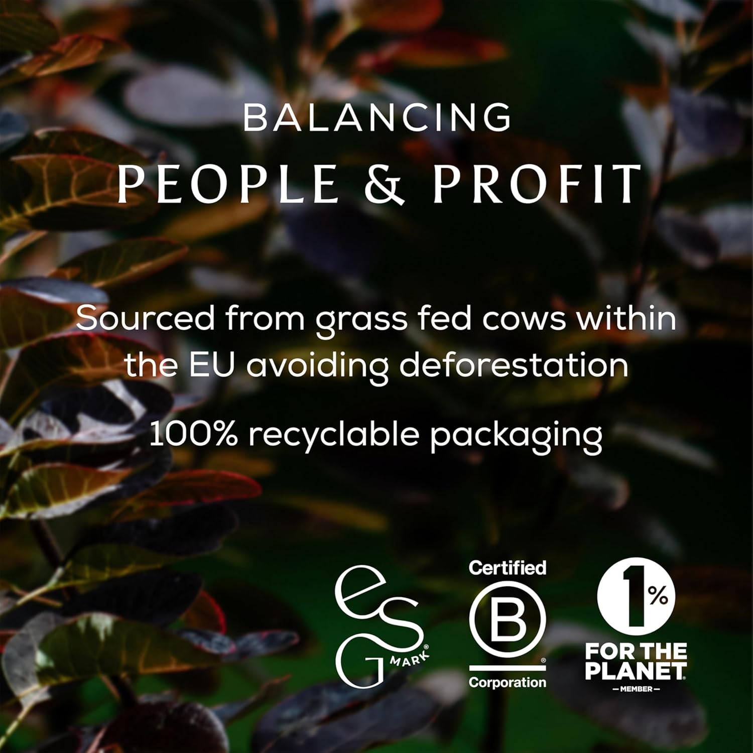 Ancient + Brave True Collagen - Grass-Fed Bovine Collagen Powder, 200g