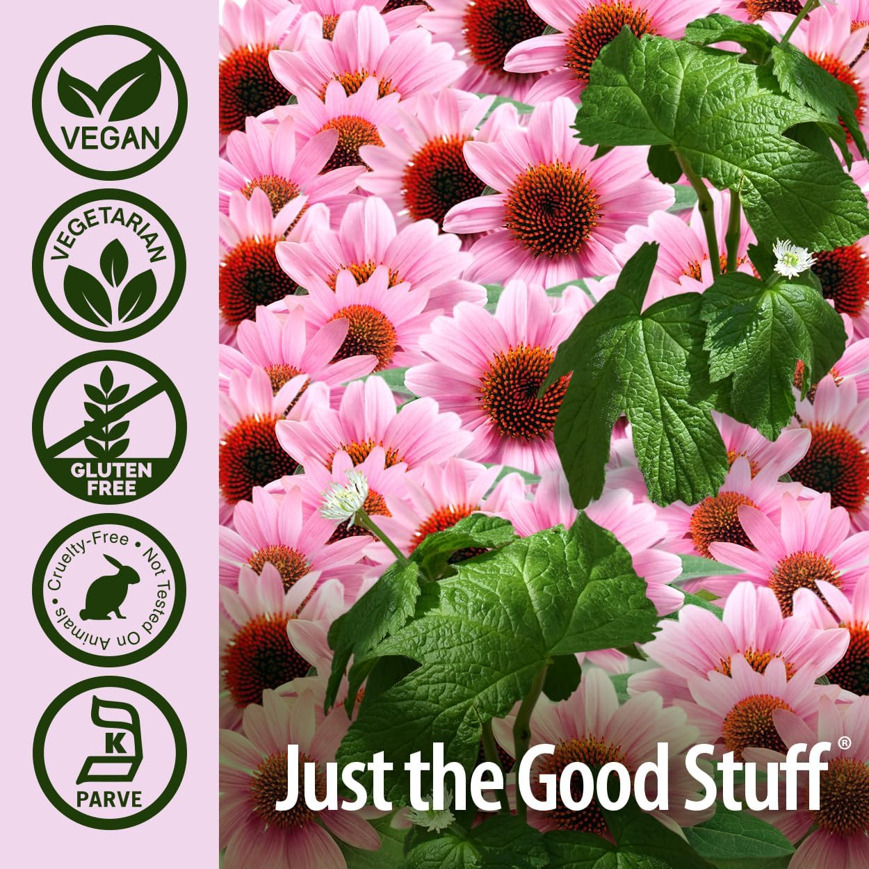 Nature’s Answer Echinacea & Goldenseal Vegetarian Capsules – 90 Count