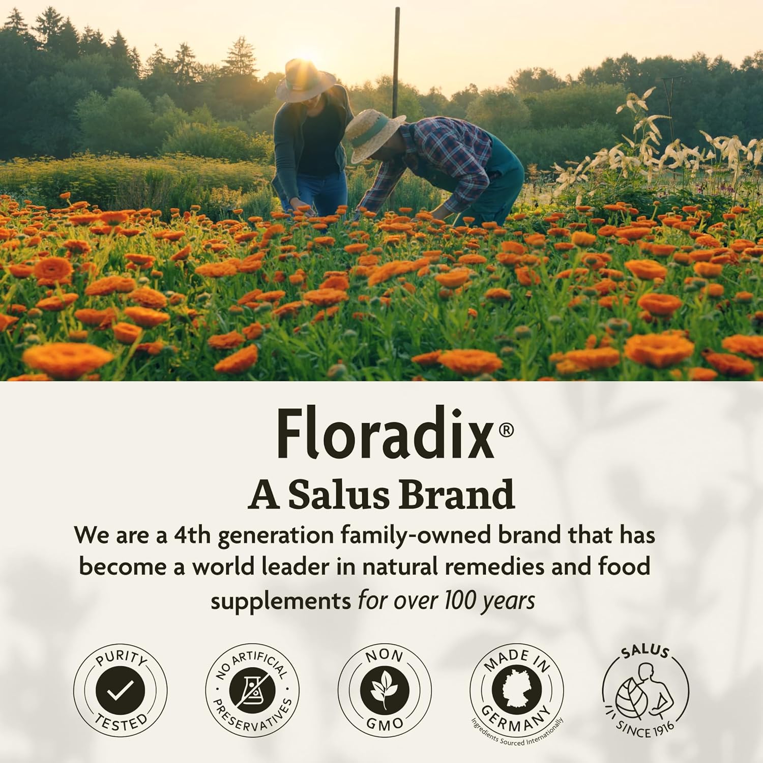 Floradix Iron & Vitamin Tablets 84 Tablets. A Salus Brand