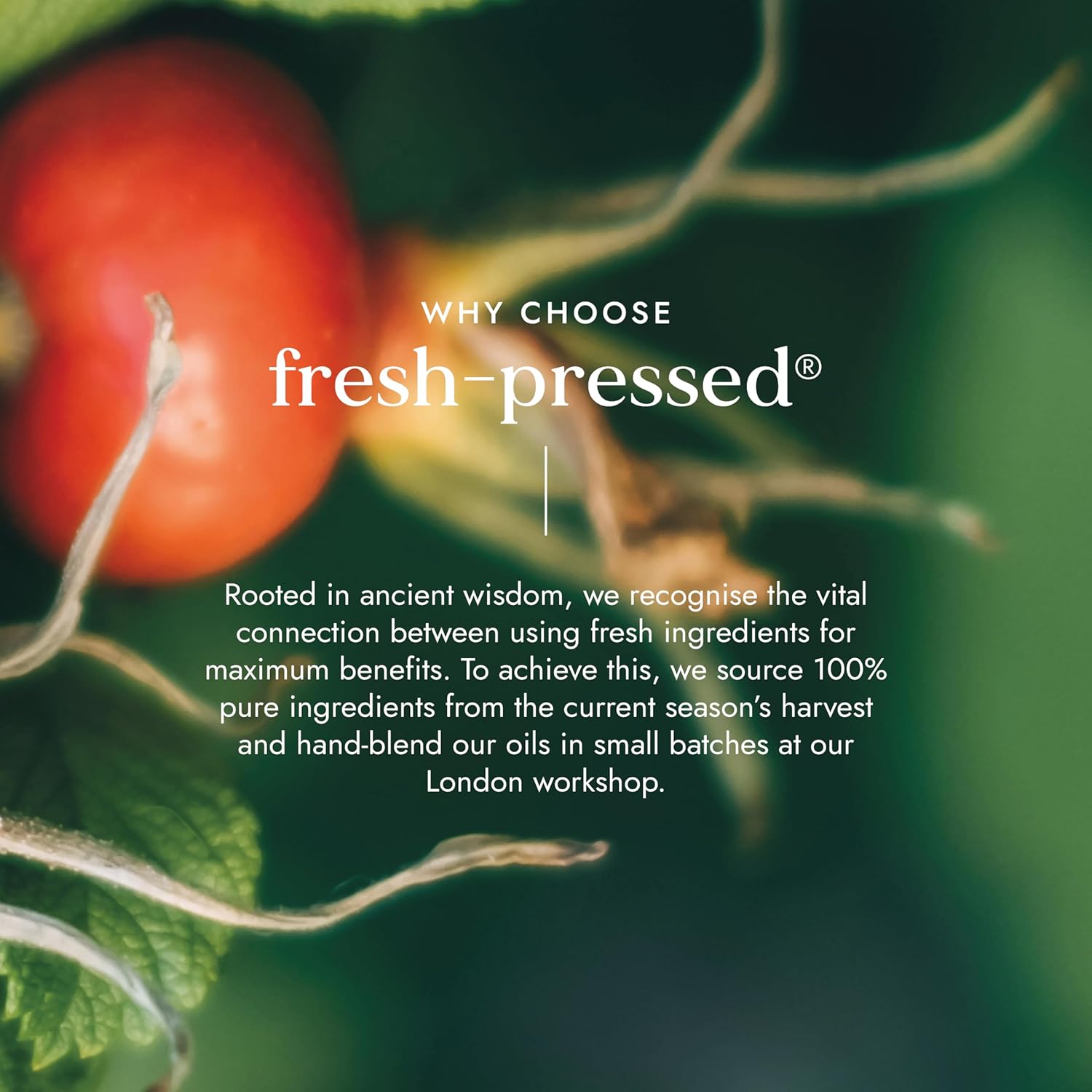 Red fruit with green leaves and text about fresh-pressed products on a dark background