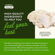 Advertisement for lion's mane mushroom capsules with text about high-quality ingredients and benefits.