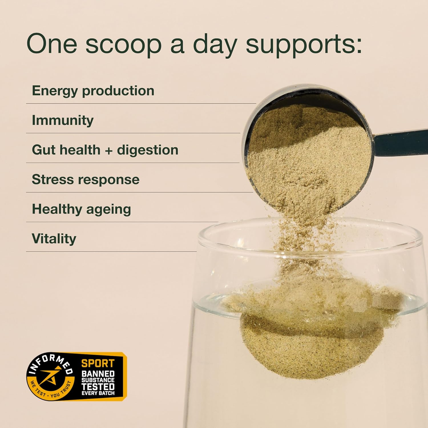 Nuzest Good Green Vitality Greens Powder, Superfood Drink