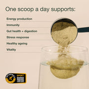 Nuzest Good Green Vitality Greens Powder, Superfood Drink