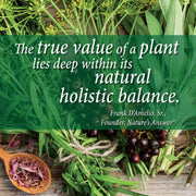 Nature’s Answer Goldenseal Root Extract – 4 mg Hydrastine, 10 mg Berberine, Alcohol-Free, 30 mL