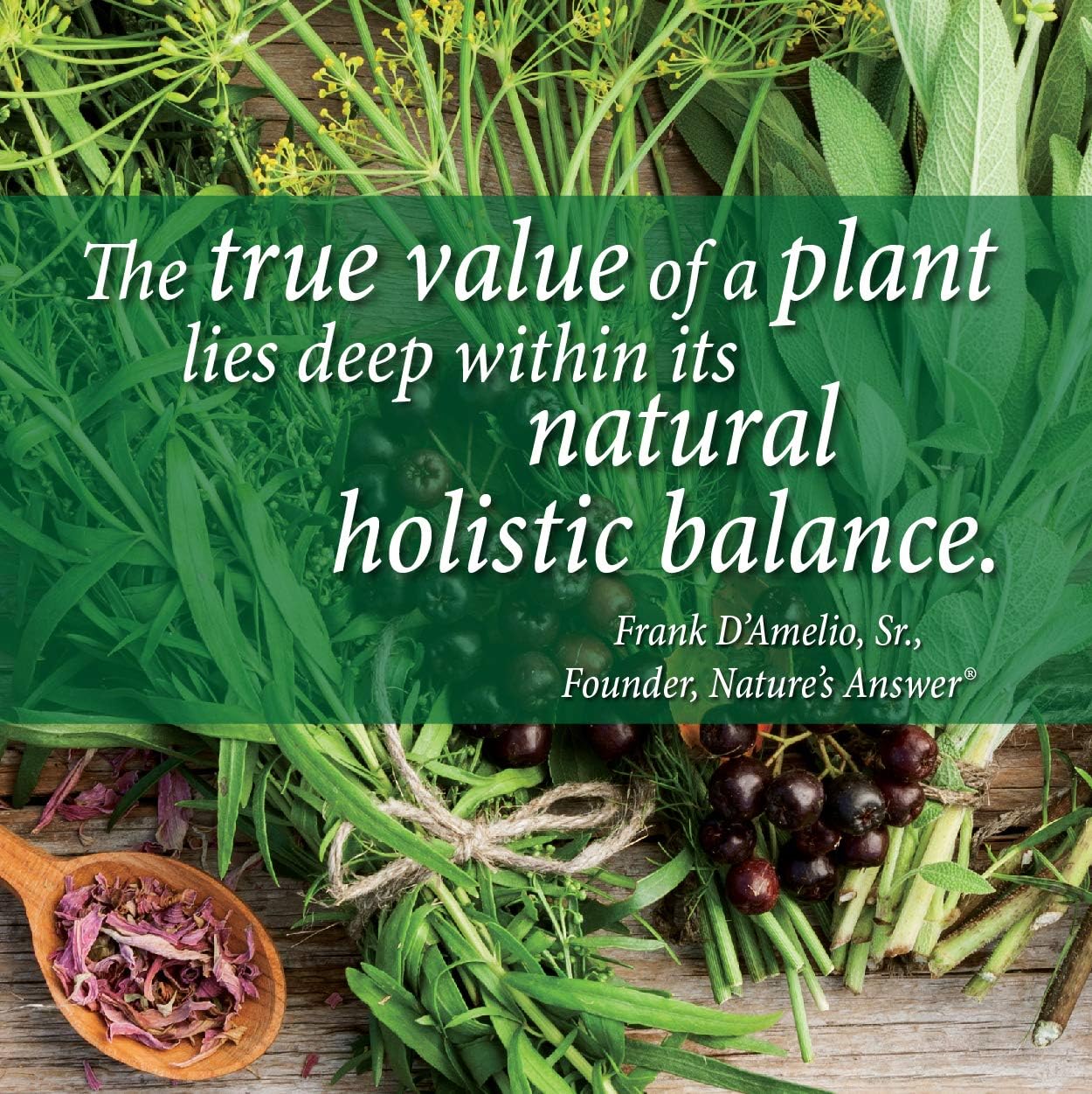 Nature’s Answer Dandelion Root Alcohol-Free Extract - 30ml