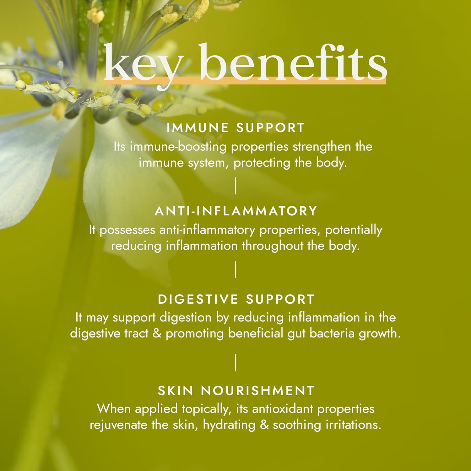 Key benefits of a natural product on a green background with floral elements.