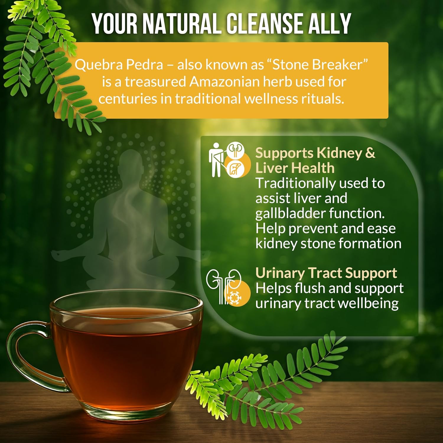 Rio Amazon Quebra Pedra Tea Infusion ingredient information herbal tea 90 teabags