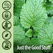 Close-up of green leaves with certification icons and 'Just the Good Stuff' text on a green background