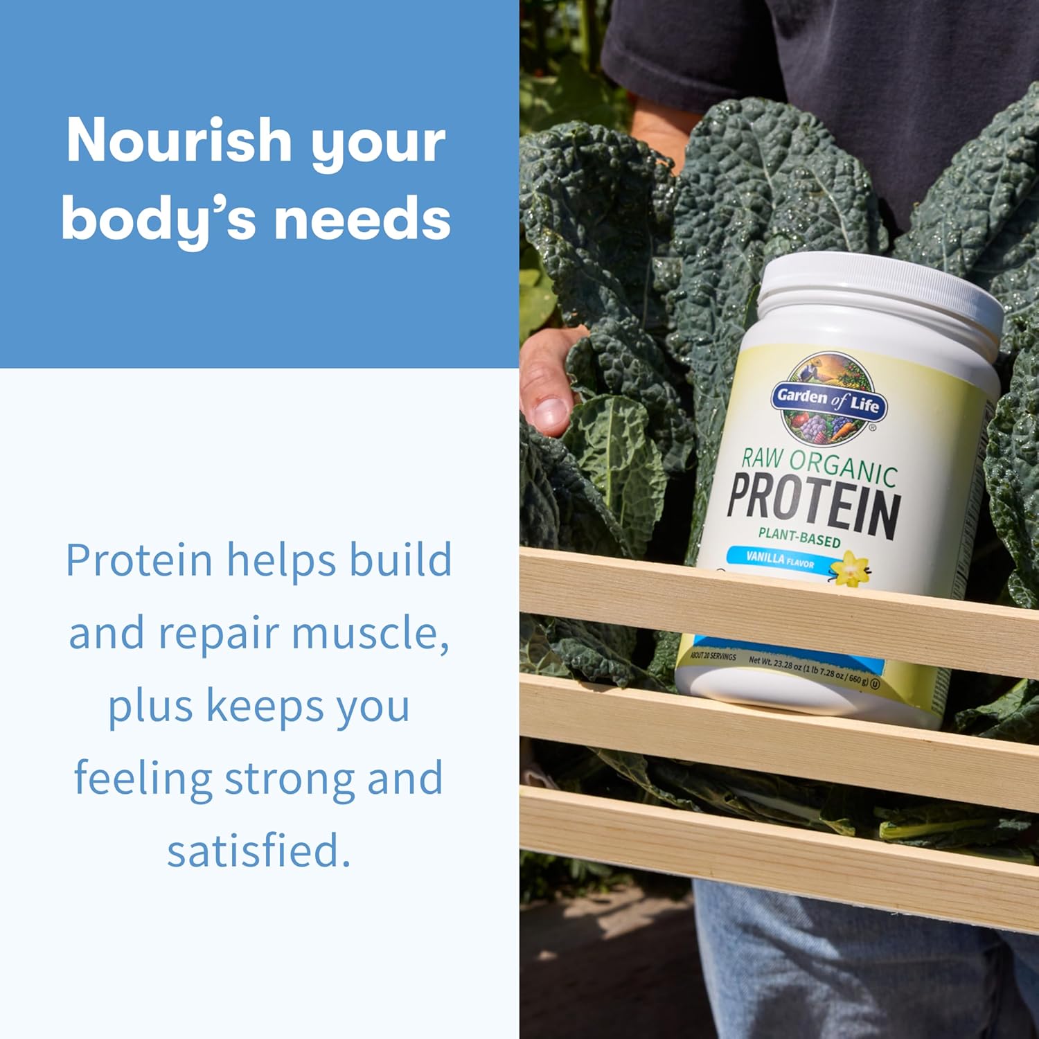 Garden of Life Raw Organic Vegan Protein Powder vanilla shake preparation tub 660g