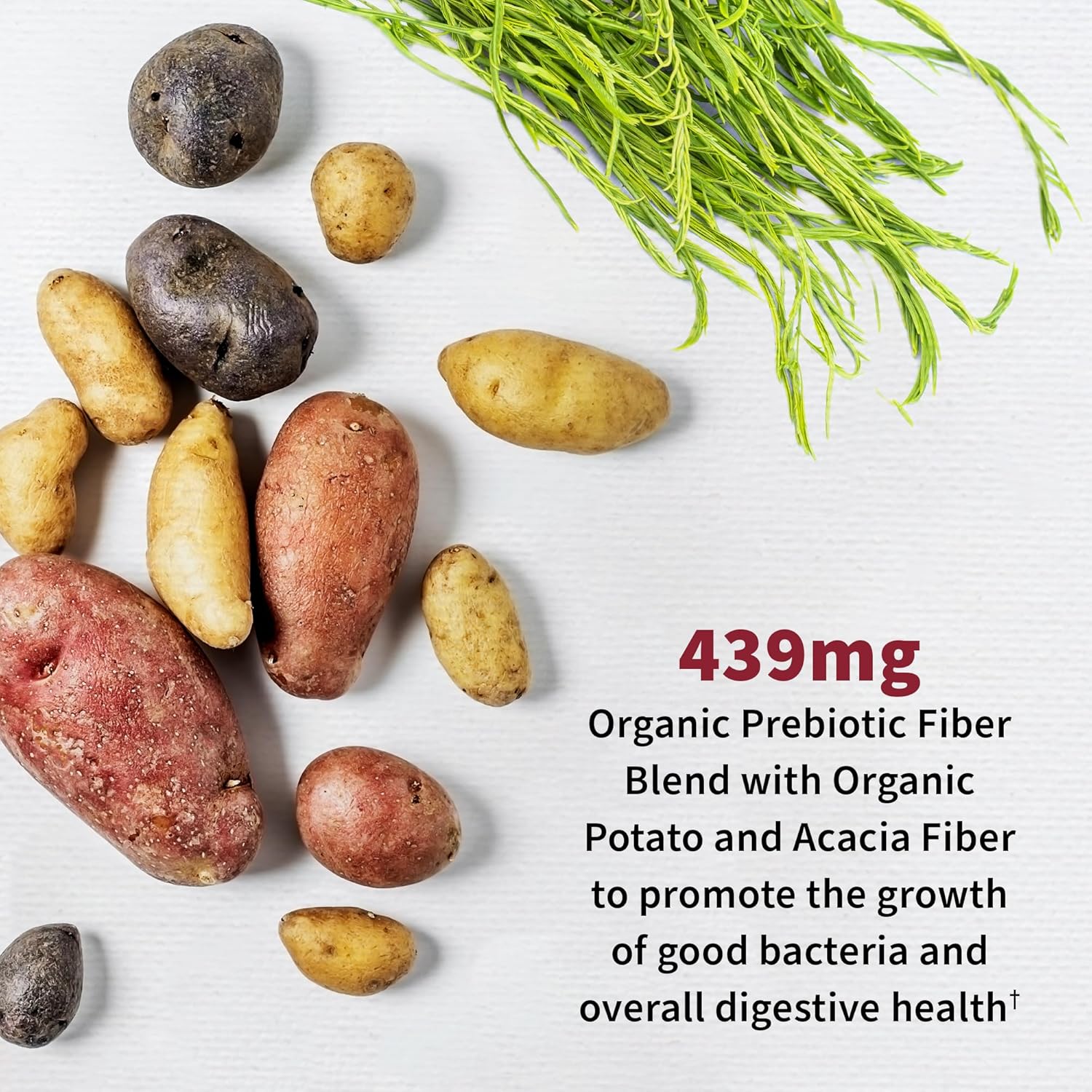 Supplement facts panel showing 50 Billion CFU probiotic blend and ingredients.