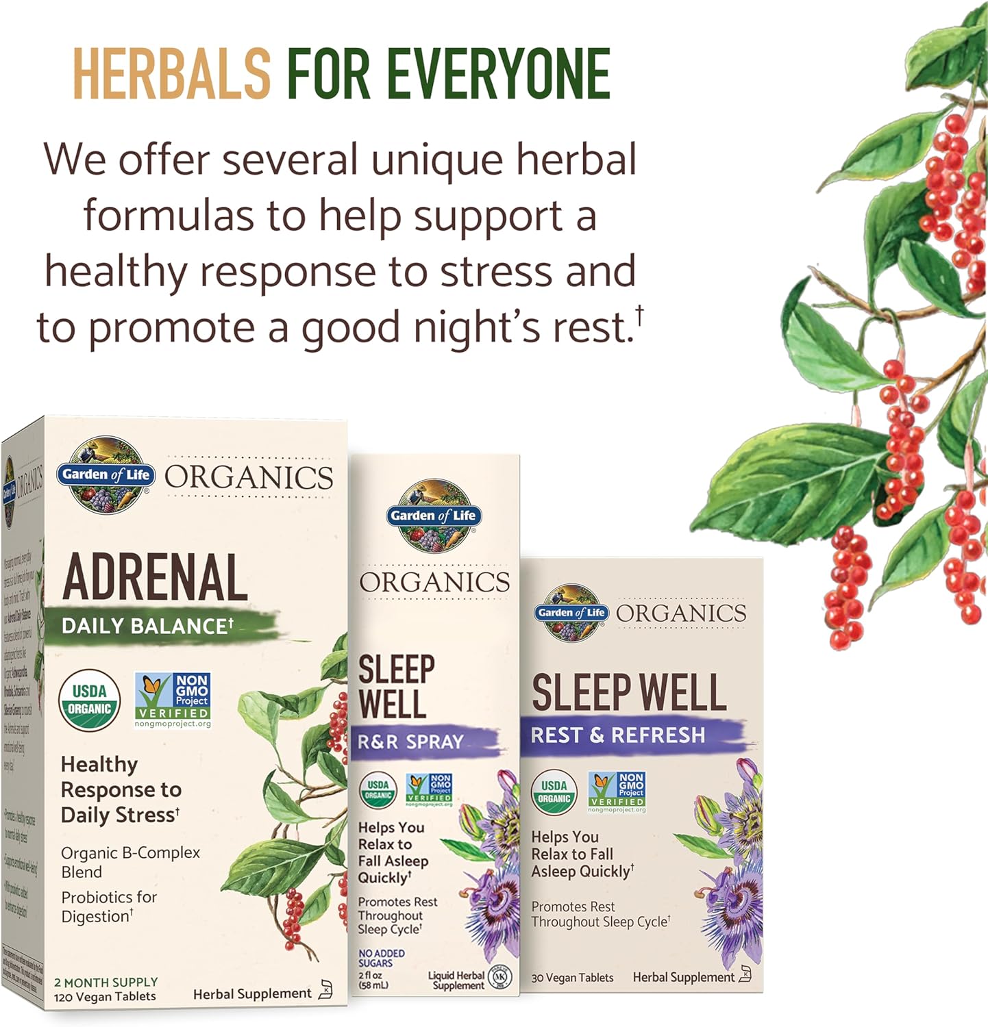 Garden of Life Organics Daily Balance - Adaptogenic Herbs & B Vitamins variants