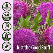 Purple thistle flowers with 'Just the Good Stuff' branding and certification icons on a white background.