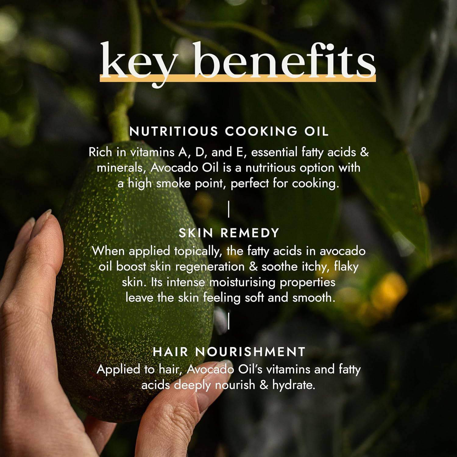 Hand holding an avocado with text about its key benefits on a dark background