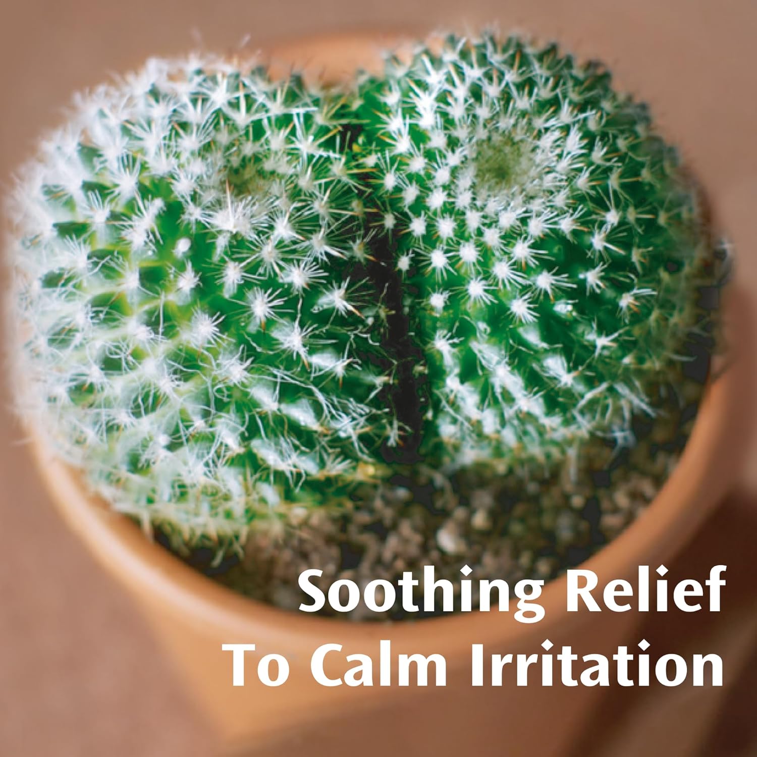 Anusol Soothing Skin Ointment with Zinc Oxide & Cocoa Butter - 25g