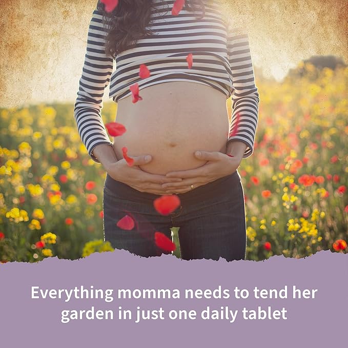 Garden of Life Organics Prenatal Once Daily - with Folate & Iron - Vegan Tablets