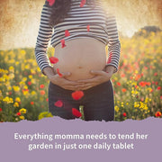 Garden of Life Organics Prenatal Once Daily - with Folate & Iron - Vegan Tablets