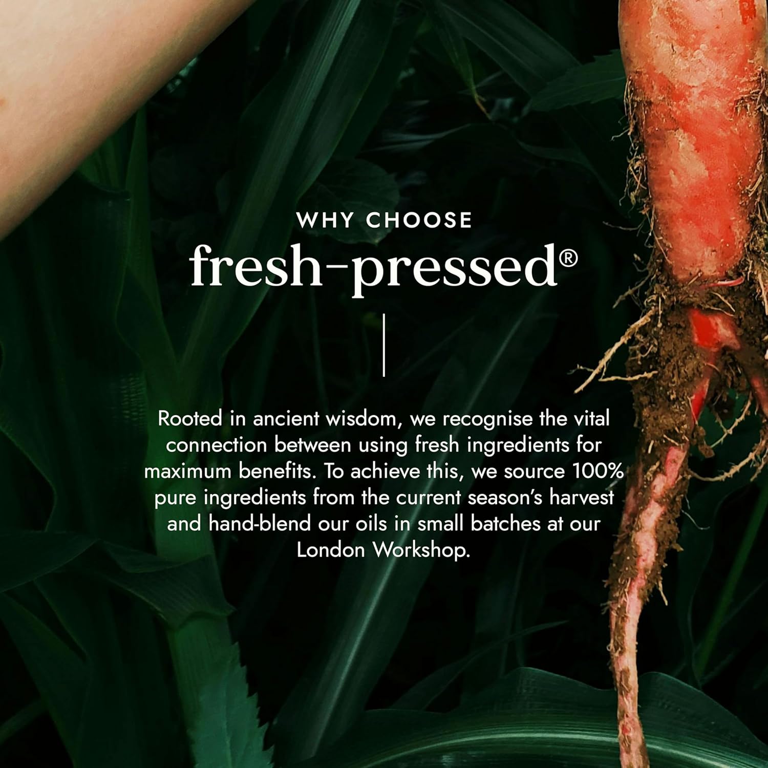 Carrot with green leaves and text about fresh-pressed products on a dark background