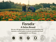 Floradix Calcium Liquid Supplement, Vegan - 250ml