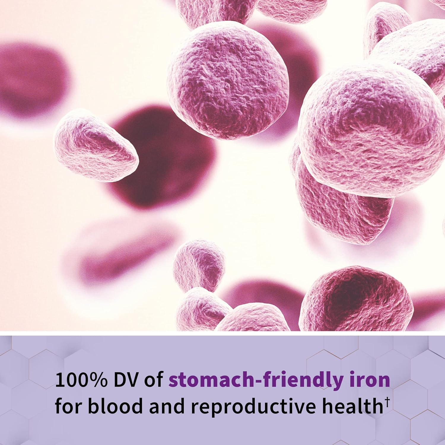 Garden of Life Vitamin Code Raw Prenatal Multivitamin - with Iron & Folate